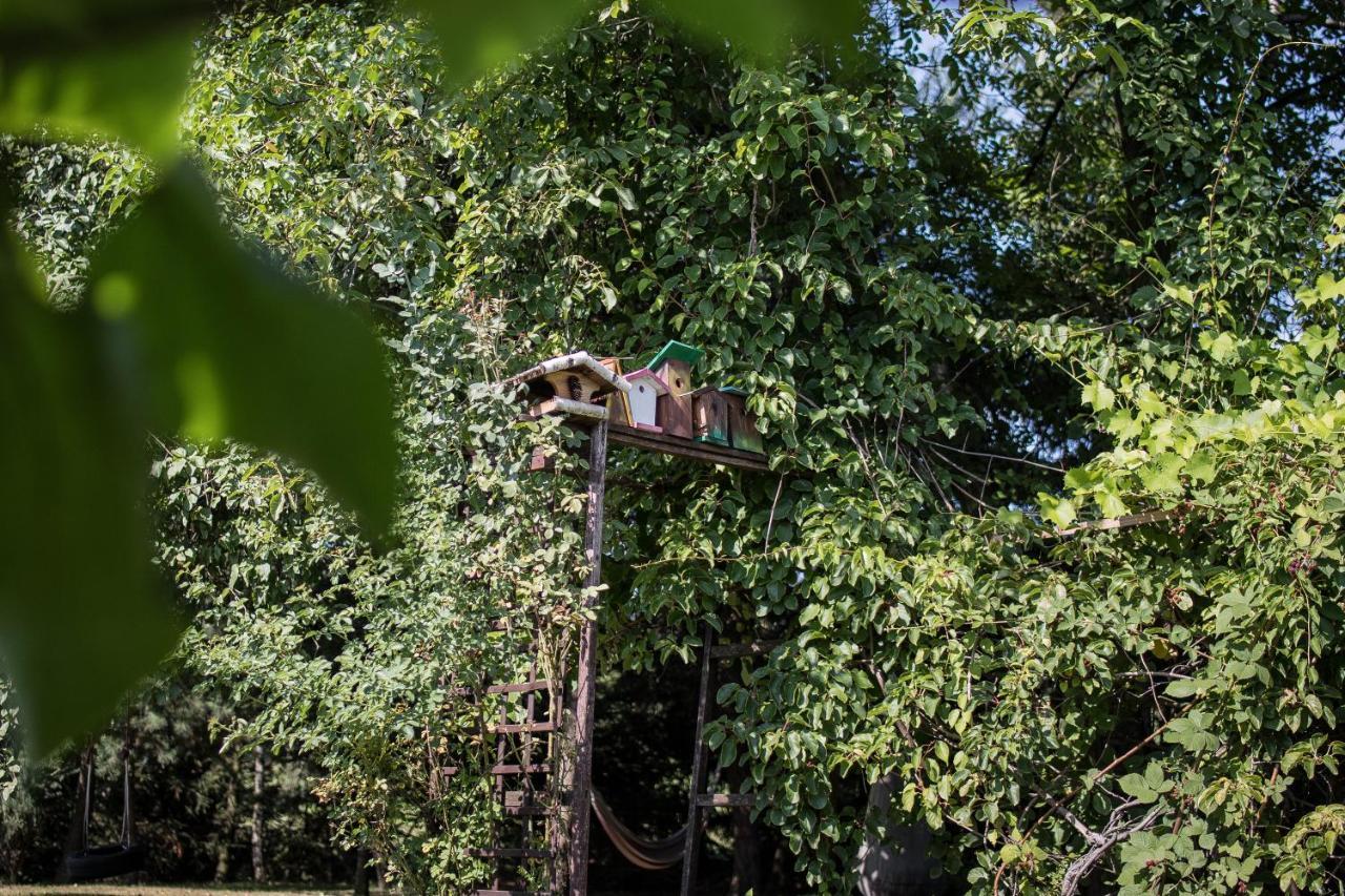 Apartamenty Na Kasztelanskiej Spytkowice  Esterno foto